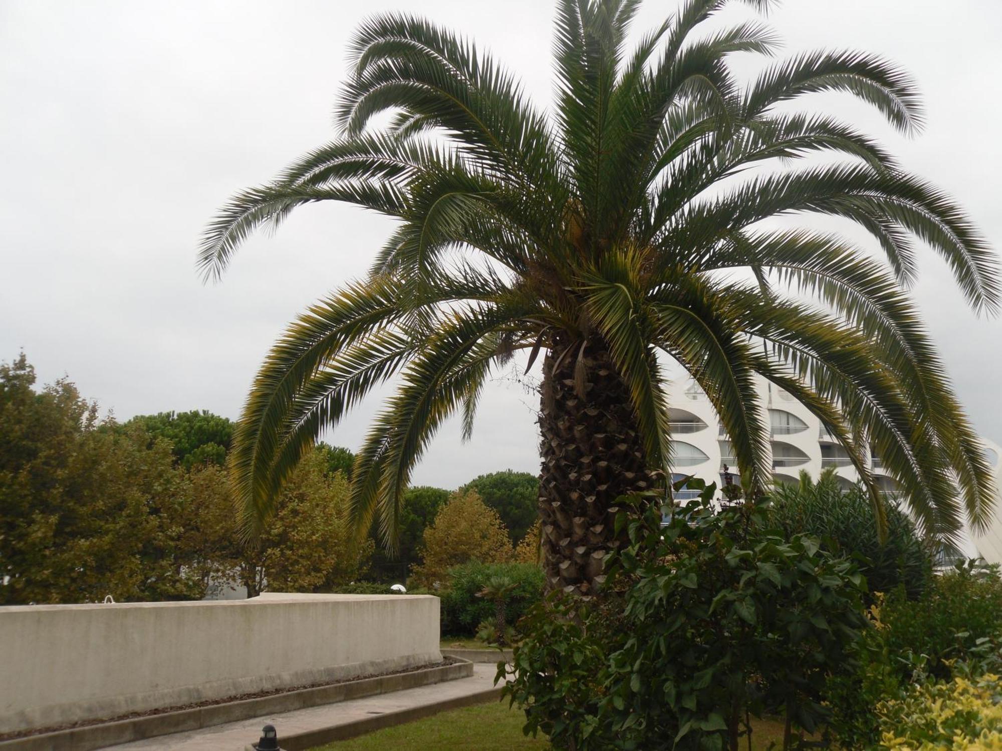 Vittoria Immobilier 9 -Reglement Sur Place - Cheques Vacances Acceptes 拉格朗德默特 外观 照片